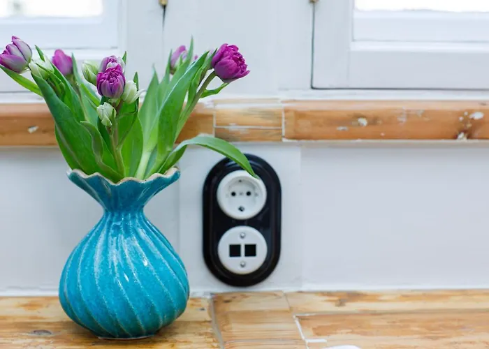 Peegel In Center Free Parking Appartamento Reval